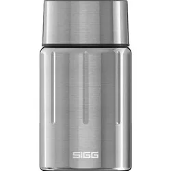 SIGG Thermotrinkflasche Gemstone FJ Selenite, Größe 0,75 in Silber Silber
