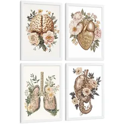 POSTER Set aus 4 Vintage Körper Anatomie Drucke mit Gehirn Herz Lungen Luftröhre Bronchien Nieren Verdauungssystem Magen Darm Größe Weißer Rahmen A4