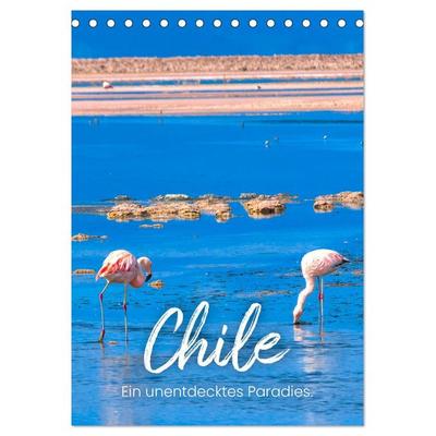 Chile - Ein unentdecktes Paradies. (Tischkalender 2026 DIN A5 hoch), CALVENDO Monatskalender