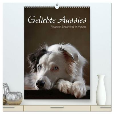 Geliebte Aussies - Australian Shepherds im Portrait (hochwertiger Premium Wandkalender 2026 DIN A2 hoch), Kunstdruck in Hochglanz