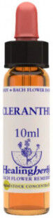 NATUR Srl SCLERANTHUS ESS 10ML INGL HERB