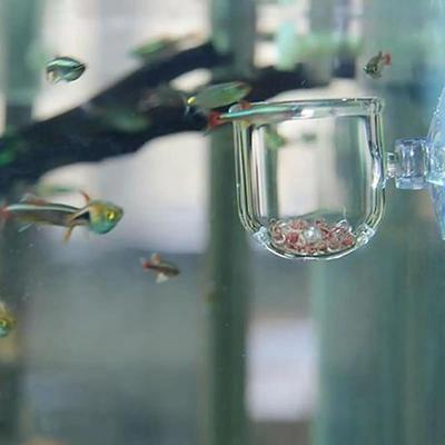 Uplifted Goods Acrylic Aquarium Plant Cup With Suction Holder round