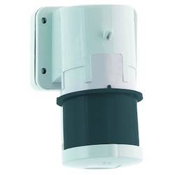 Bals Elektrotechnik 2631 2631 CEE Anbaustecker 16.0 A 4polig 500 V 1 St.