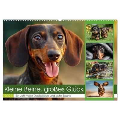 Kleine Beine, großes Glück (Wandkalender 2027 DIN A2 quer), CALVENDO Monatskalender