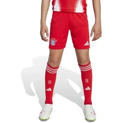 adidas FC Bayern München Heimshorts Kinder 2025/26 rot/weiß