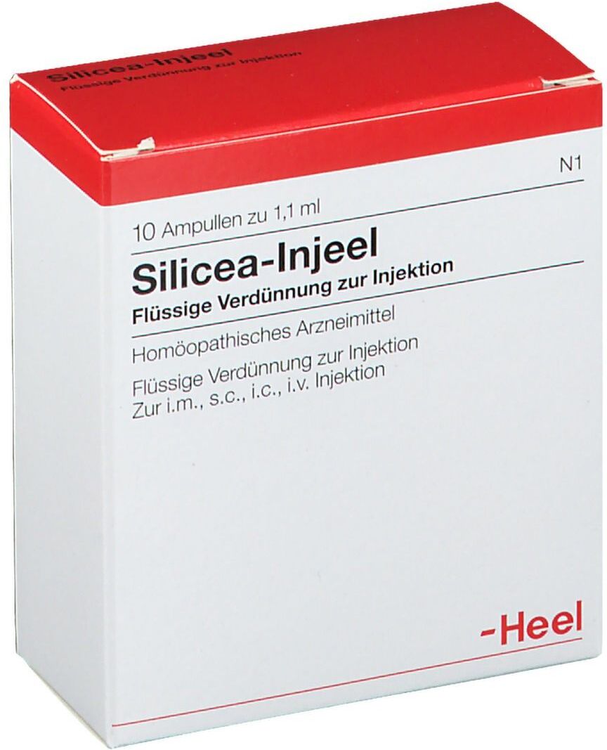 Heel Silicea Injeel Ampullen 10 St