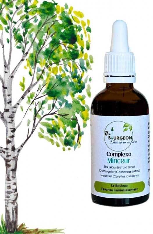 France Herboristerie Complexe Minceur - Bourgeons de Bouleau, Châtaignier, Noisetier - Gemmothérapie Flacon de 50ml