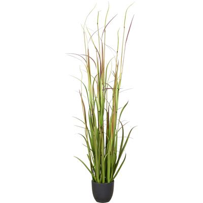 Kunstgras CREATIV GREEN "Grasbusch Cortaderia jubata", grün, H:120cm, Obermaterial: 100% Kunststoff, Kunstpflanzen, in toller Größe