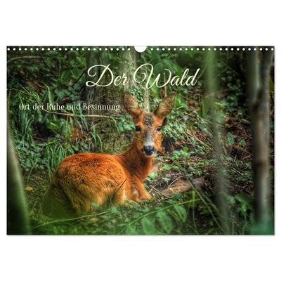 Der Wald - Ort der Ruhe und Besinnung (Wandkalender 2027 DIN A3 quer), CALVENDO Monatskalender