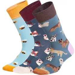 DILLY SOCKS Socken Cute Animal Crew (3er Box), Größe 41/46 in Bunt Bunt