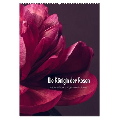 Die Königin der Rosen (Wandkalender 2027 DIN A2 hoch), CALVENDO Monatskalender