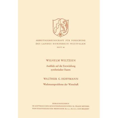 Ausblick auf die Entwicklung synthetischer Fasern. Wachstumsprobleme der Wirtschaft, Taschenbuch von Walther G. Weltzien, VS Verlag für