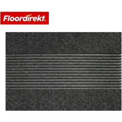 Floordirekt, Fussmatte, Schmutzfangmatte Circa (90 x 150 cm)