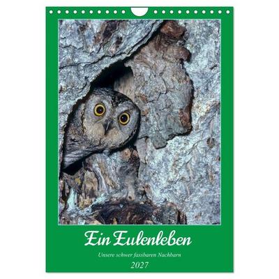 Ein Eulenleben, Unsere schwer fassbaren Nachbarn (Wandkalender 2027 DIN A4 hoch), CALVENDO Monatskalender