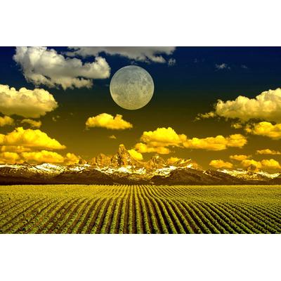 Papermoon "Felder mit Mond"