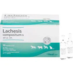 Lachesis Comp N Vet 50 ST