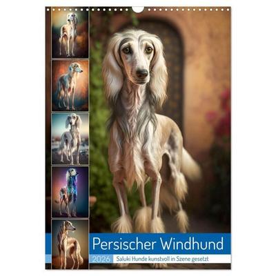 Persischer Windhund (Wandkalender 2026 DIN A3 hoch), CALVENDO Monatskalender