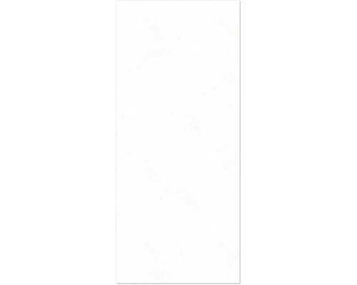 BREUER Duschrückwand Express Q72 Seidenmatt Stein 210 x 100 cm 1413542000202