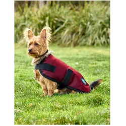 Weatherbeeta Comfitec Classic, Hundemantel