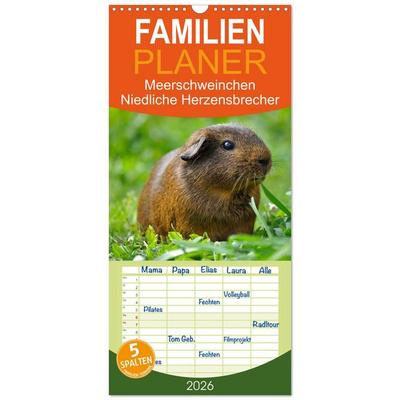 Familienplaner 2026 - Meerschweinchen Niedliche Herzensbrecher mit 5 Spalten (Wandkalender, 21 x 45 cm) CALVENDO
