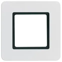 Berker Rahmen 1f. pws-samt 10116109