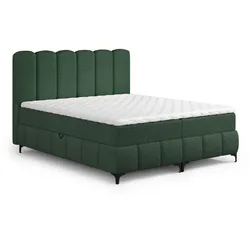 BOXBETT Isabel