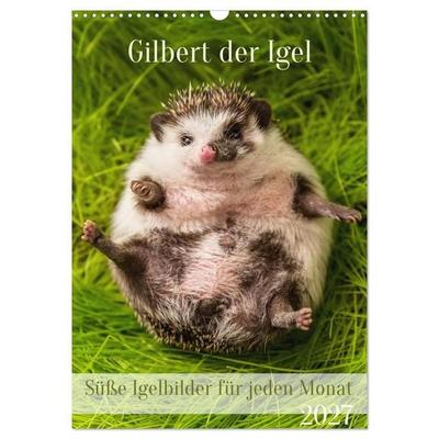 Gilbert der Igel (Wandkalender 2027 DIN A3 hoch), CALVENDO Monatskalender