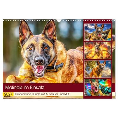Malinois im Einsatz. Heldenhafte Hunde mit Ausdauer und Mut (Wandkalender 2027 DIN A3 quer), CALVENDO Monatskalender