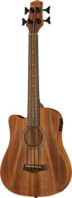 Gold Tone Micro Bass 23 w/Bag LH Natur