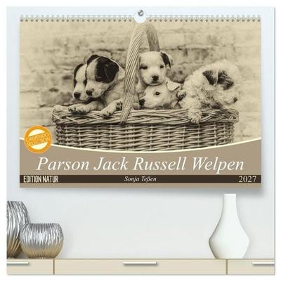 Parson Jack Russel Welpen (hochwertiger Premium Wandkalender 2027 DIN A2 quer), Kunstdruck in Hochglanz