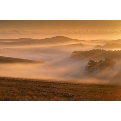 Papermoon "Nebel in Landschaft"
