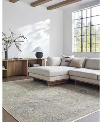 Galey Alix x Livabliss Maria Elena IV Vintage Medallion Area Rug