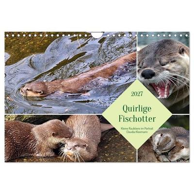Quirlige Fischotter (Wandkalender 2027 DIN A4 quer), CALVENDO Monatskalender