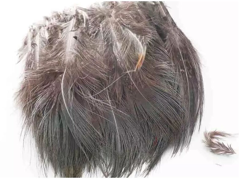 FlyCo Lystfisk.Dk Ringneck Rump Hackle-Natural
