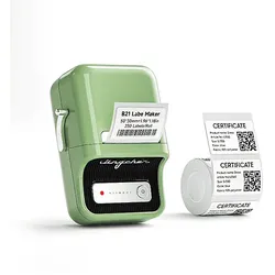 NIIMBOT B21 Pro portabler Etikettendrucker Grün