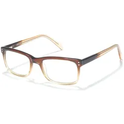 Brille Retro Collection R1730 in Braun Verlauf