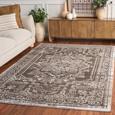 SAFAVIEH Chamber Ayako Medallion Area Rug