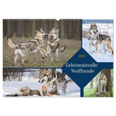 Geheimnisvolle Wolfhunde (Wandkalender 2027 DIN A2 quer), CALVENDO Monatskalender