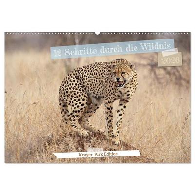 12 Schritte durch die Wildnis, Kruger Park Edition (Wandkalender 2026 DIN A2 quer), CALVENDO Monatskalender