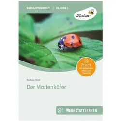 Der Marienkäfer. Grundschule, Sachunterricht, Klasse 1-2, Schulbücher von Barbara Hinel