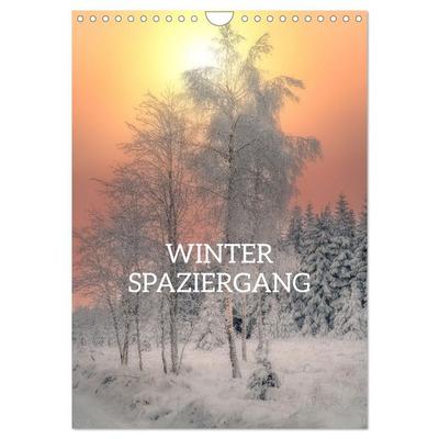 Winter Spaziergang (Wandkalender 2026 DIN A4 hoch), CALVENDO Monatskalender