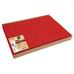 PROnappe Platzsets 30 x 40 cm rot