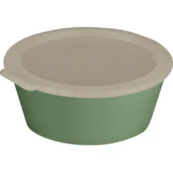 Koziol Move Box Schale mit Deckel 1,3 Liter nature leaf green