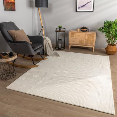 Paco Home Soft Washable Area Rug with Geometric High-Low Effect