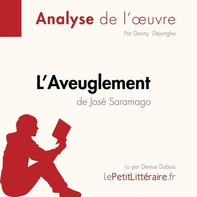L'Aveuglement de José Saramago (Fiche de lecture) - LePetitLitteraire,Danny Dejonghe, Audio, 9782808031363