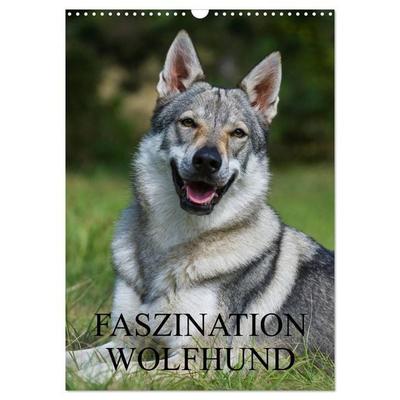 Faszination Wolfhund (Wandkalender 2026 DIN A3 hoch), CALVENDO Monatskalender