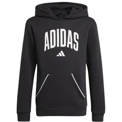 adidas Seasonals Essentials Collegiate Typography Hoodie Kinder -