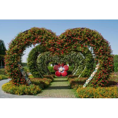 Fototapete PAPERMOON "BLUMEN GARTEN-NATUR ROSEN BLUME PFLANZEN BÄUME DEKO XXL", bunt, B:3,5m L:2,6m, Vlies, Tapeten