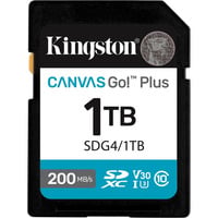Canvas Go! Plus 1TB SDXC, Speicherkarte schwarz, UHS-I U3, Class 10, V30