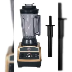 Gasfrit - Professioneller 2-Liter-Mixer/Zerkleinerer